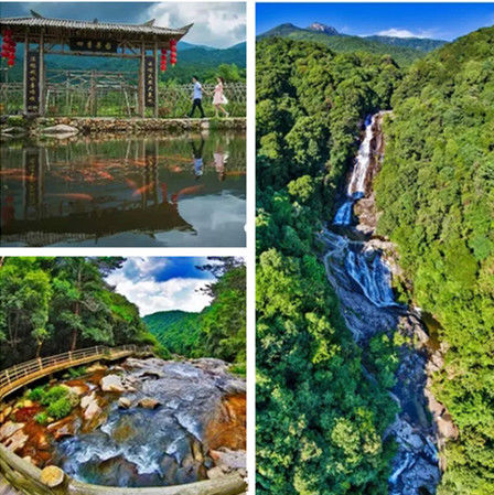武平梁野山景区获